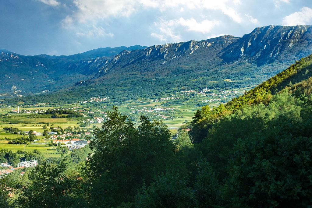 Farm stay Ferjancic